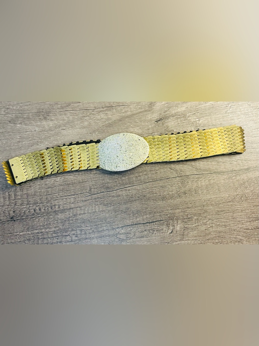 Gold-Tone Oval Medallion Women’s Vintage Stretch Belt